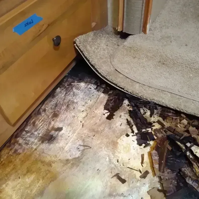 Wood Floor Water Damage in Columbia Falls, MT